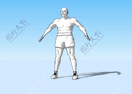 拳王人体3D模型图片