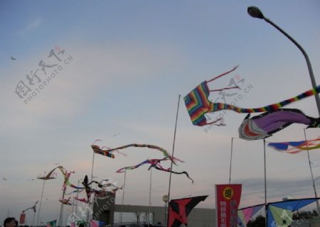 風箏图片