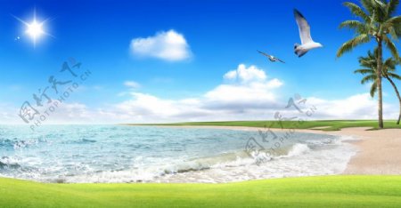 海沙滩草地海鸥椰树图片