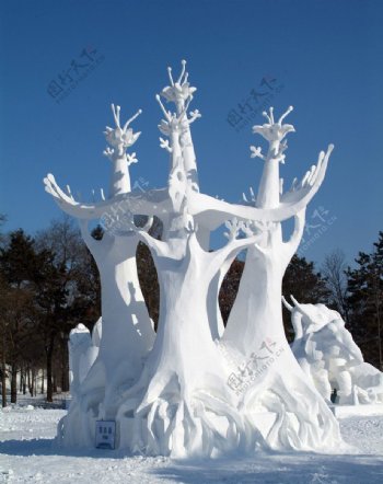 雪雕树图片