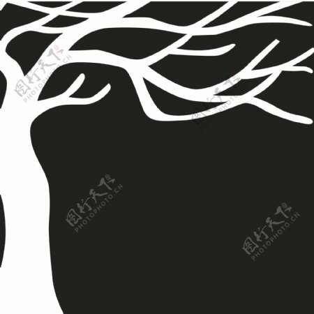 黑白树图片
