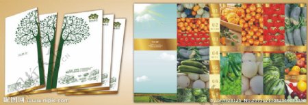 农产品品种小手册图片