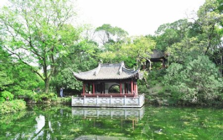 上海古猗园图片