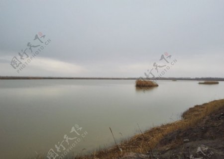星海湖湿地图片