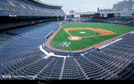 紐約洋基棒球場图片