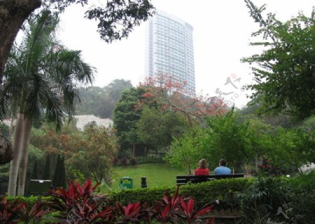 香港公园图片