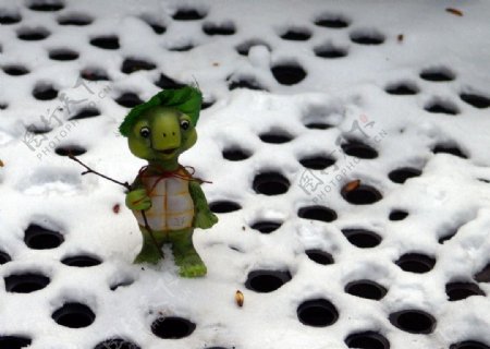 雪地里的小乌龟图片