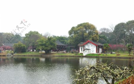 武汉梅园图片