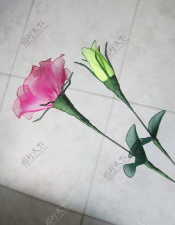 洋桔梗花与花苞组合图片