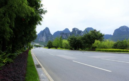 桂林公路绿化带图片