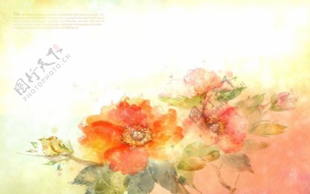 花卉图案素材下载图片
