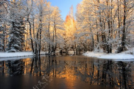冬日树林河流图片
