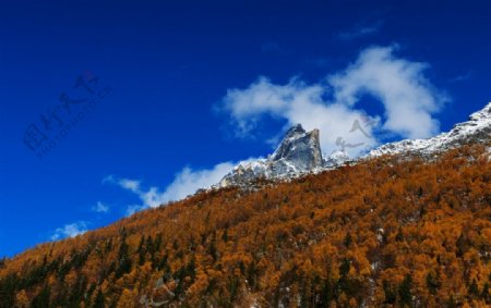 四川双桥沟图片