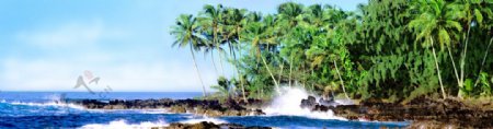 海滩椰树林风景广告素材图片