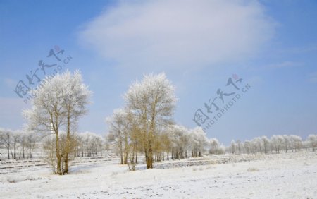 草原天路冬季美景图片