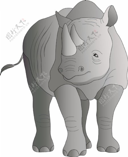 犀牛手绘图片