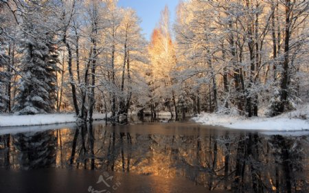 白雪冬林湖水图片