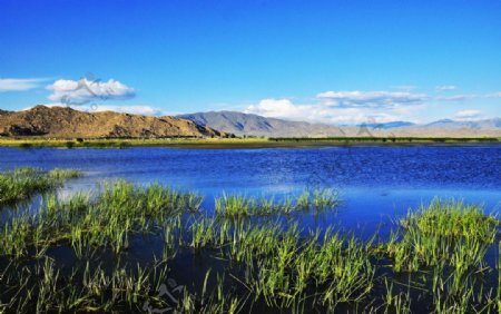 新疆可可苏里湿地图片