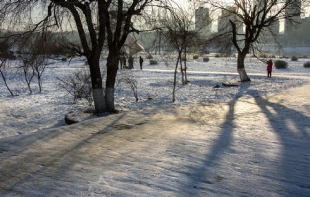 吉林冬景图片