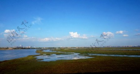 哈尔滨湿地图片