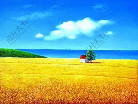 黄色麦田风景画图片