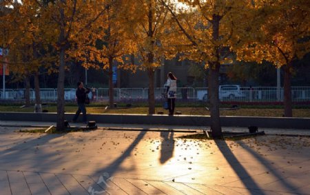 秋日夕阳图片