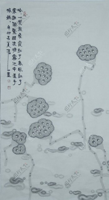 池中莲子图片