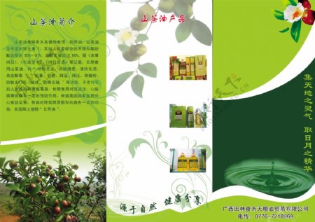 山茶油宣传册图片
