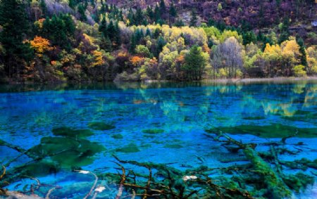 九寨沟五花海图片