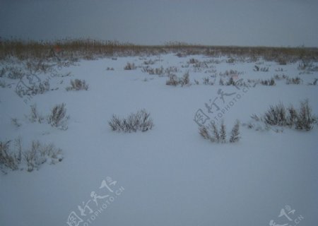 雪地风光图片