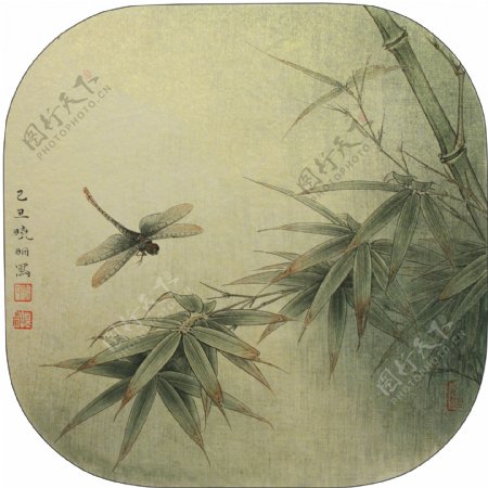 蜻蜓翠竹图片