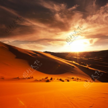 夕阳沙漠图片