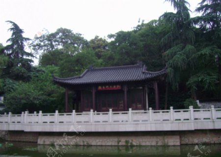 乌龙潭公园图片