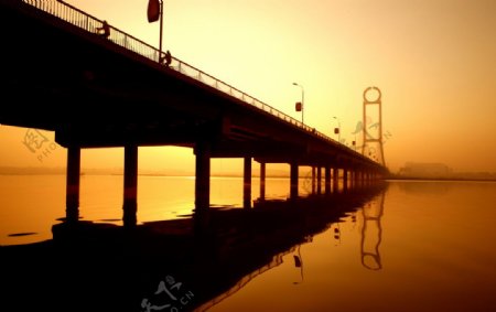 渭河大桥图片