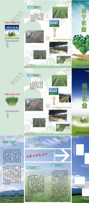 生态农业公司传单图片