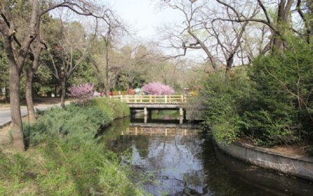 北京动物园河道图片