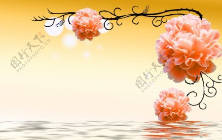 橙色玫瑰花水纹倒影图片
