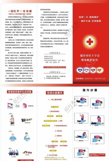 红十字会救护手册图片
