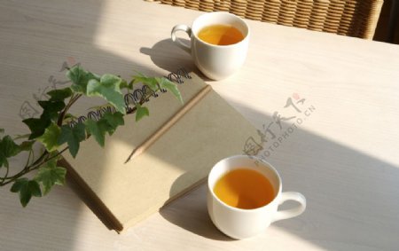 茶水景物摄影图片