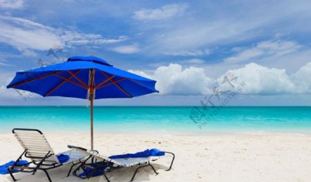 海岸遮阳伞图片