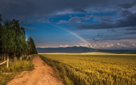 自然风光自然景观图片