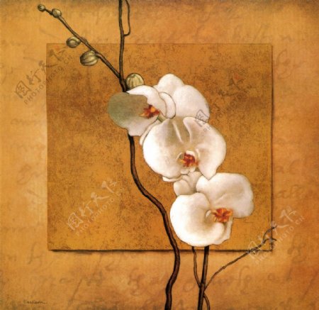 白花卉油画图片
