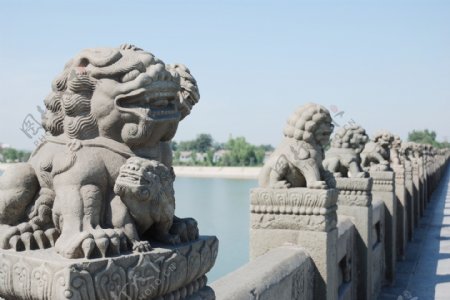 卢沟桥的狮子图片