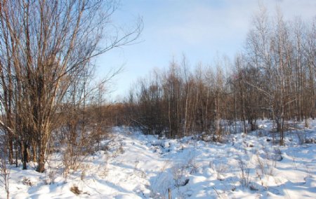 木屋雪景图片