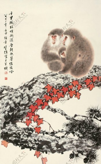猴在枫林国画图片
