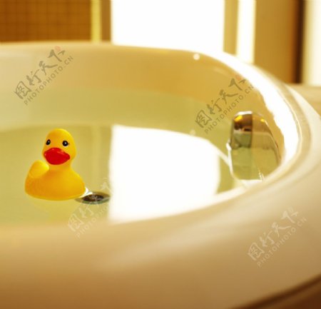 洗手盆和小鸭子图片