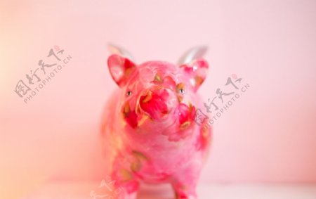 粉红小猪图片