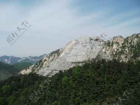 蒙山寿星风景图片