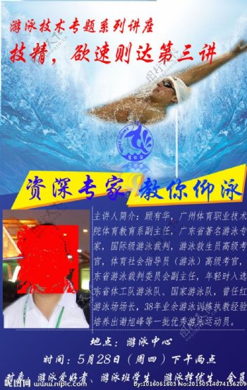 仰泳讲座宣传海报图片