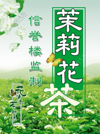 茉莉花茶图片